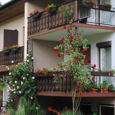 Michor דירה לצכאך אובר דם פאקרסי