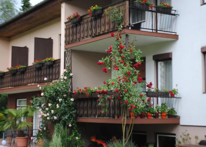 Michor דירה לצכאך אובר דם פאקרסי